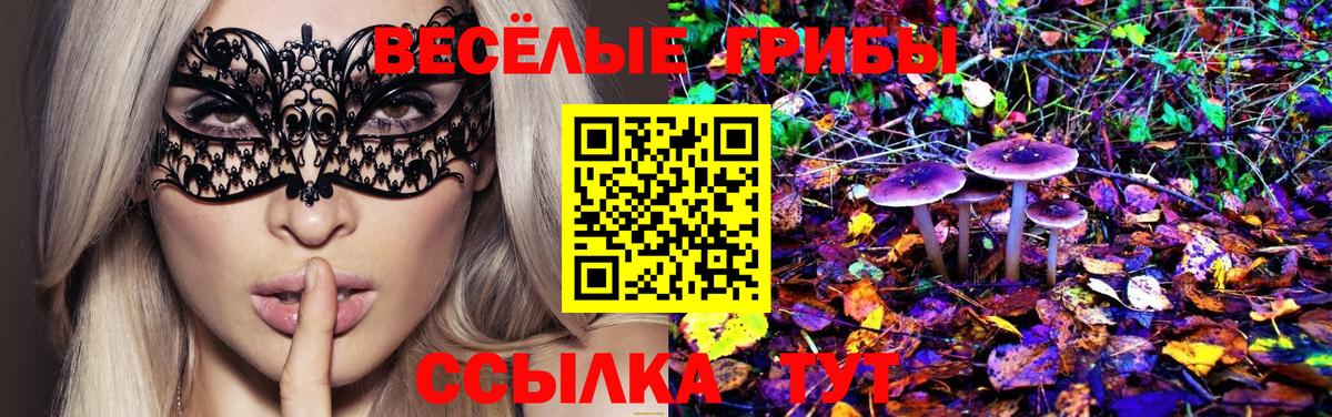 Галлюциногенные грибы ЛСД Гагарин