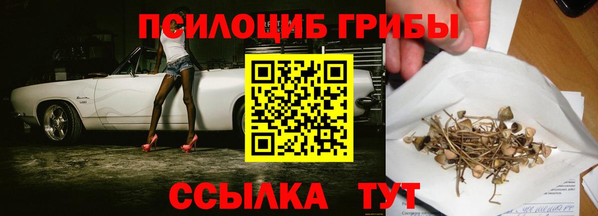 Галлюциногенные грибы прущие грибы  продажа наркотиков  Псилоцибиновые грибы мухоморы  Гагарин 