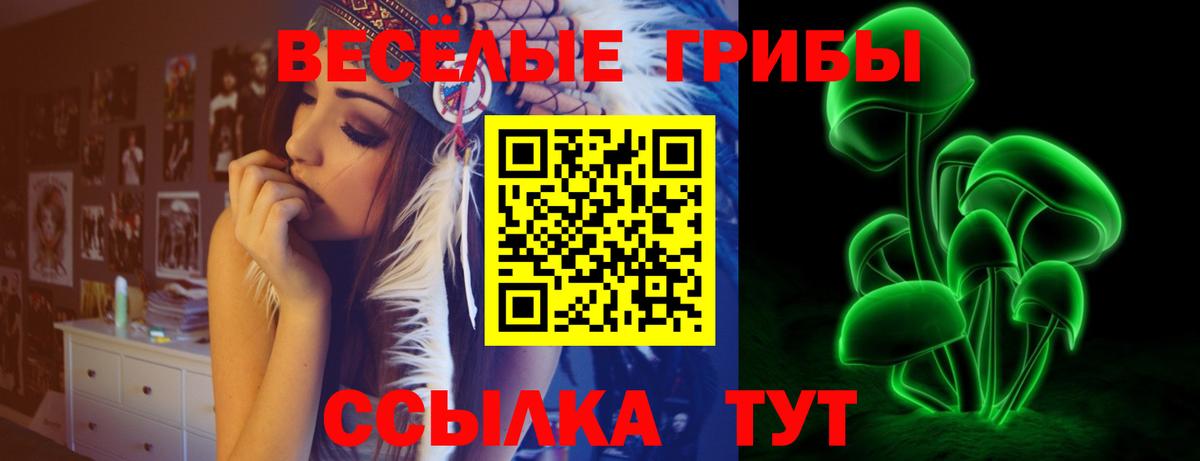 Псилоцибиновые грибы MAGIC MUSHROOMS  Вход с VPN  Псилоцибиновые грибы ЛСД  Гагарин 